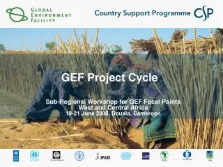 gef project cycle