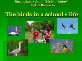 Secondary school “Hristo Botev” Bajkal,Bulgaria The birds in a school s life