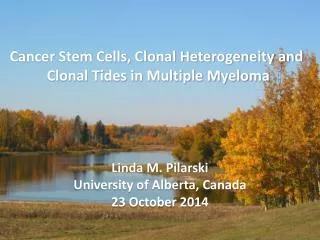 Cancer Stem Cells, Clonal Heterogeneity and Clonal Tides in Multiple Myeloma