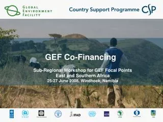 GEF Co-Financing
