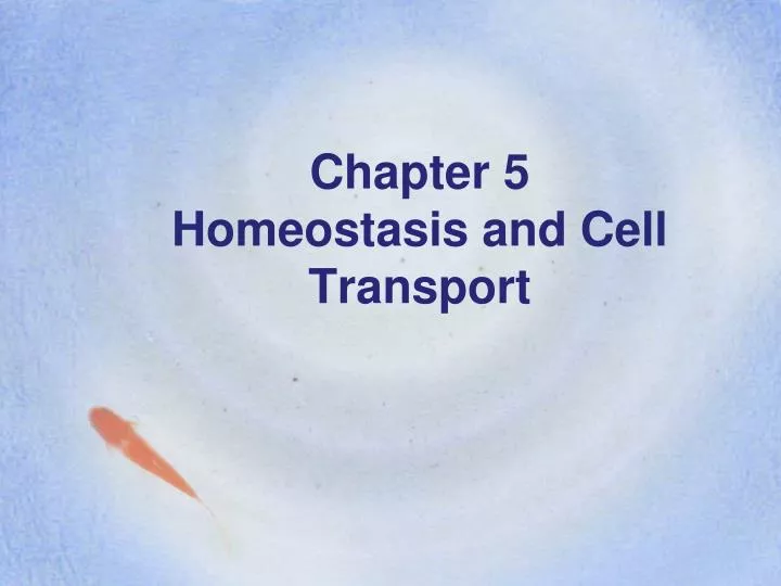 chapter 5 homeostasis and cell transport