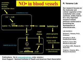 R. Venema Lab