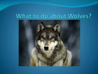 What to do about Wolves?