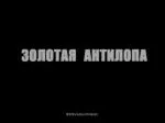 1 - slide 1