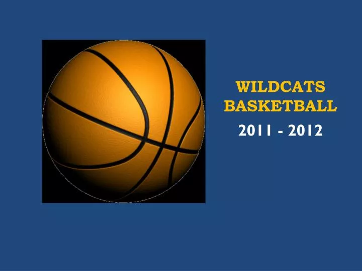 wildcats basketball