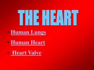 THE HEART