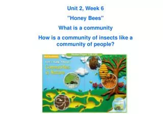 Unit 2, Week 6 &quot;Honey Bees&quot; What is a community
