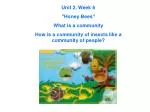 Unit 2, Week 6 "Honey Bees" What is a community - slide 1