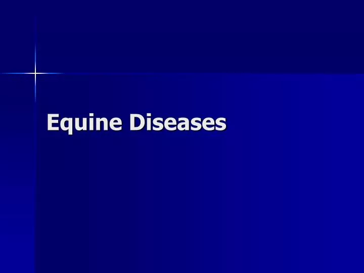 equine diseases