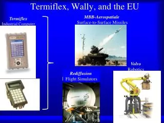 Termiflex, Wally, and the EU
