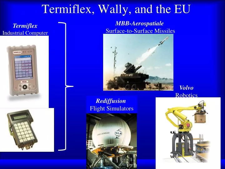 termiflex wally and the eu