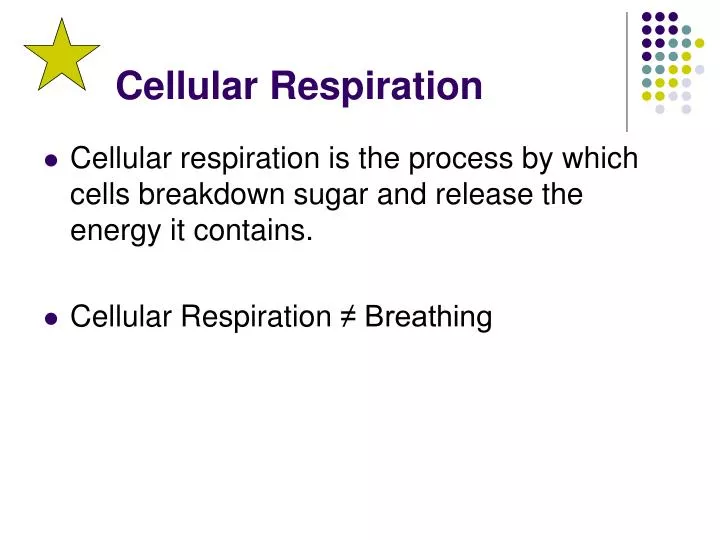 cellular respiration