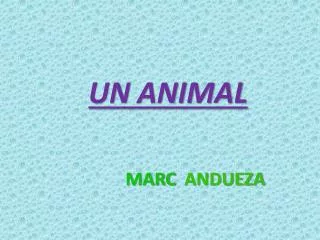 UN ANIMAL