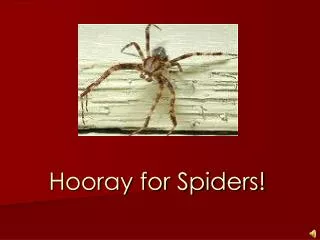 Hooray for Spiders!