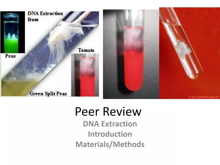 peer review