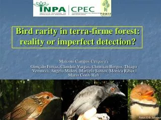 Bird rarity in terra-firme forest: reality or imperfect detection?