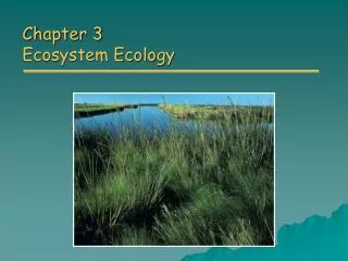 chapter 3 ecosystem ecology