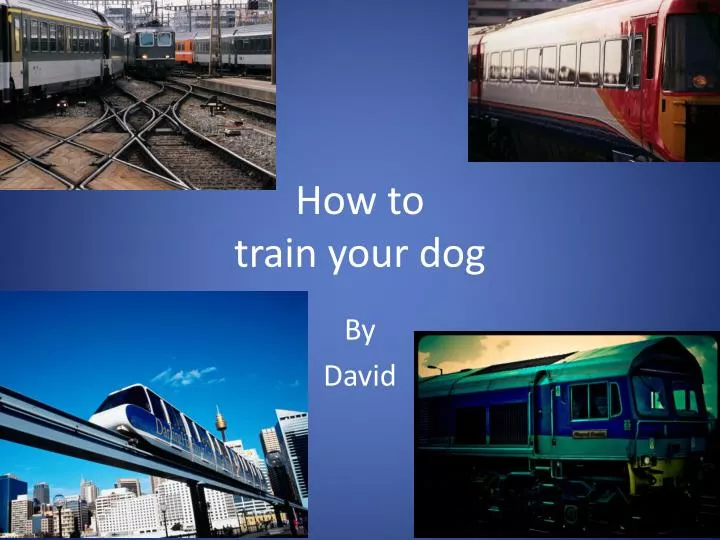 how to train your dog