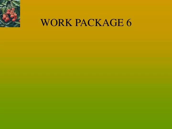 work package 6