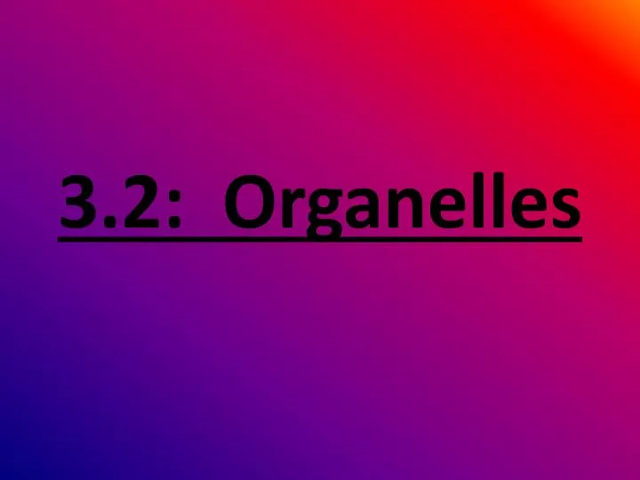 3 2 organelles