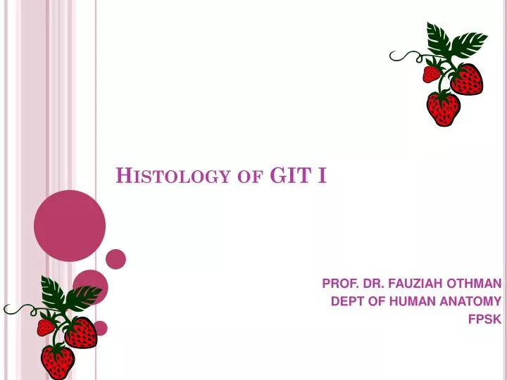 histology of git i