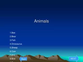 Animals