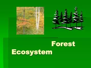 Forest Ecosystem