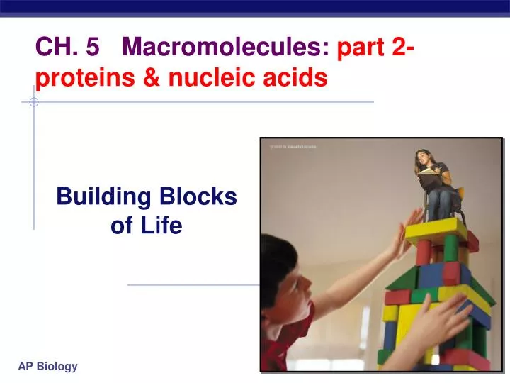 ch 5 macromolecules part 2 proteins nucleic acids