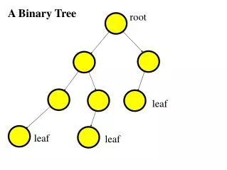 A Binary Tree