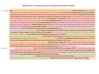 additional file 4 microarray probes encompassing sco6832 sco6833