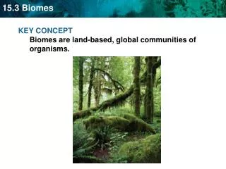 KEY CONCEPT Biomes are land-based, global communities of organisms.