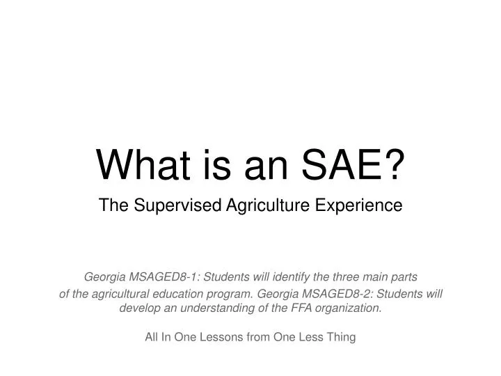 what is an sae