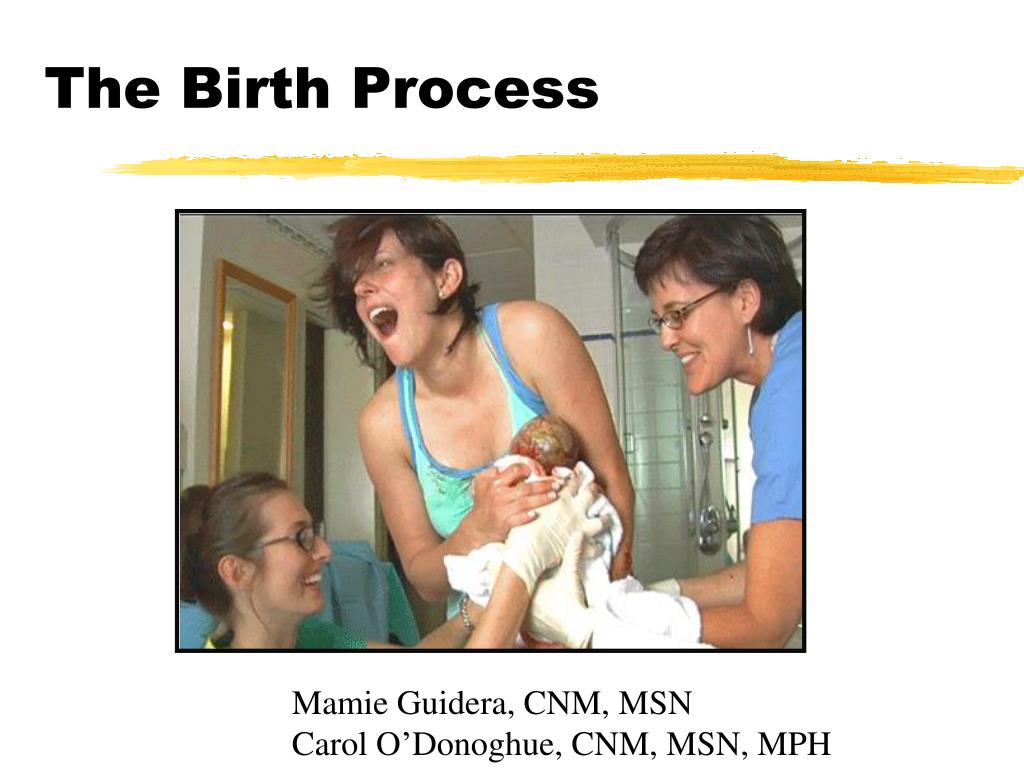 PPT - The Birth Process PowerPoint Presentation, free download - ID:6848169