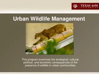 Urban Wildlife Management