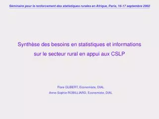 synth se des besoins en statistiques et informations sur le secteur rural en appui aux cslp