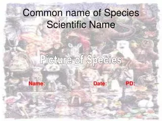Common name of Species Scientific Name