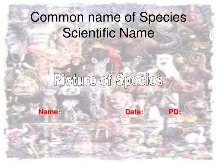 common name of species scientific name