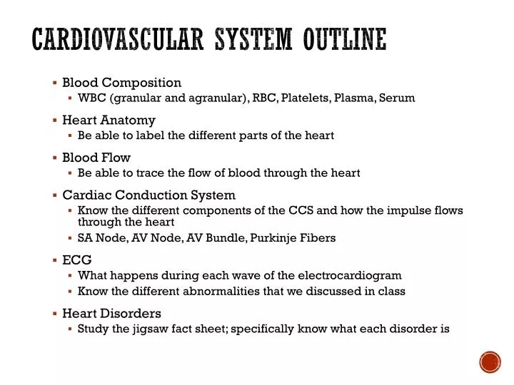 cardiovascular system outline