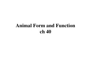 Animal Form and Function ch 40