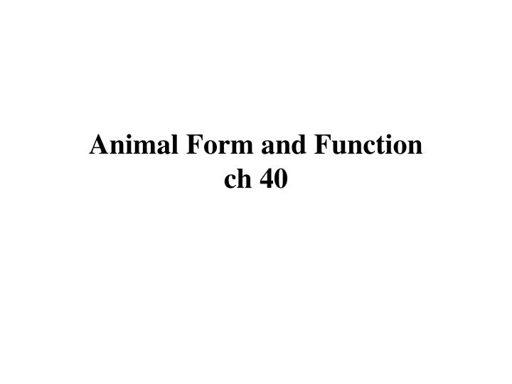 animal form and function ch 40