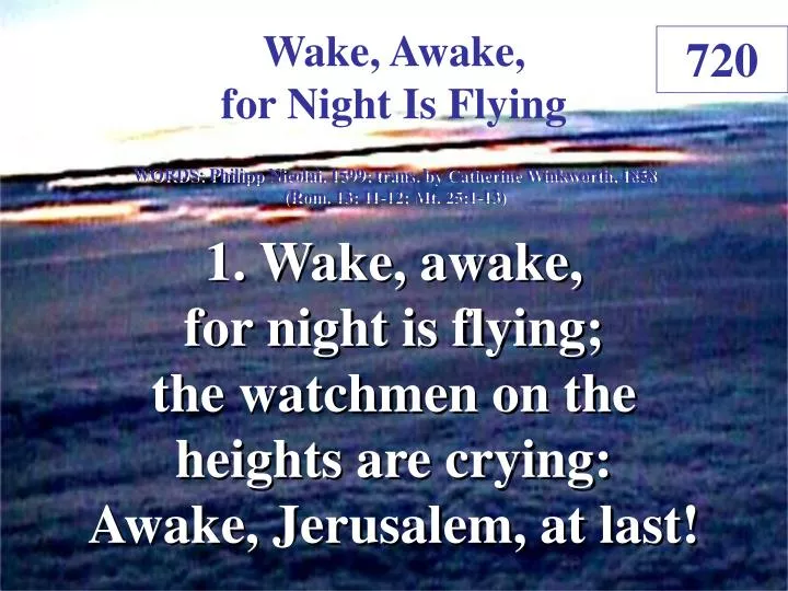 wake awake for night is flying 1
