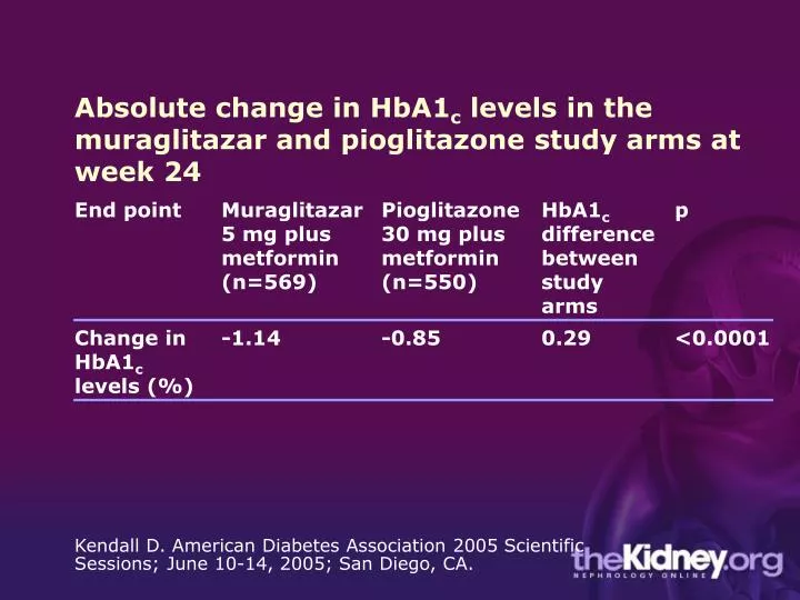 absolute change in hba1 c levels in the muraglitazar and pioglitazone study arms at week 24