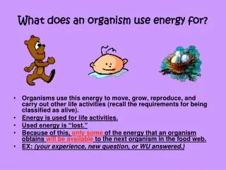 What does an organism use energy for?