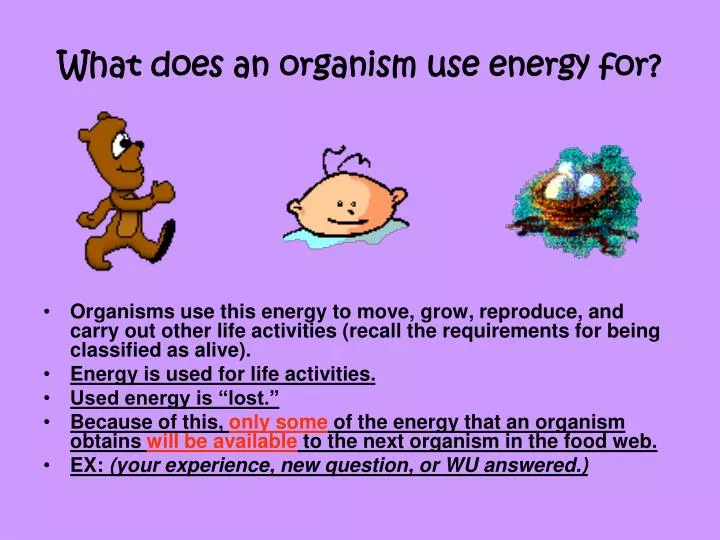 what does an organism use energy for