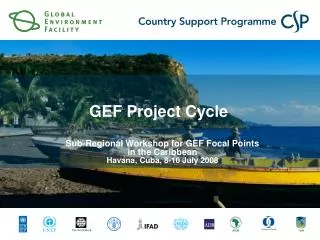 GEF Project Cycle