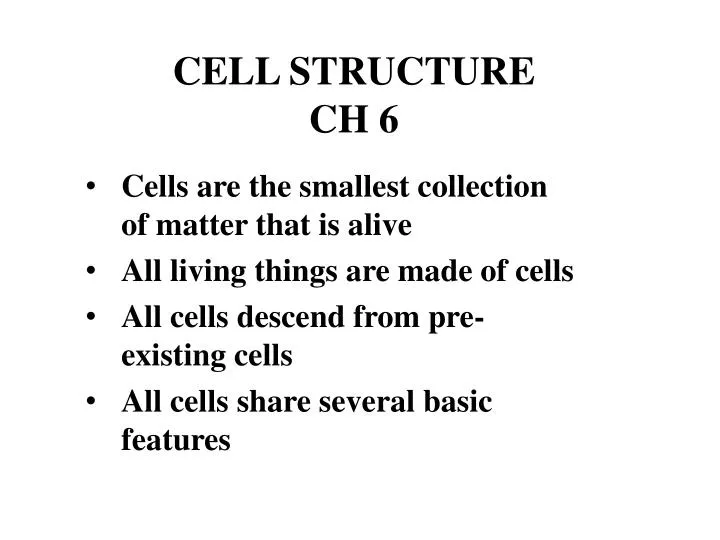cell structure ch 6