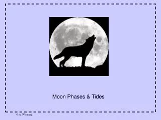 Moon Phases &amp; Tides