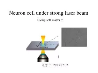 Neuron cell under strong laser beam