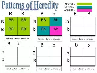 Patterns of Heredity