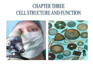 CHAPTER THREE CELL STRUCTURE AND FUNCTION